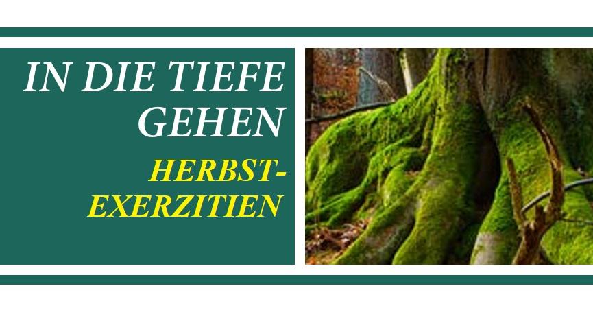 Kräftig grünes Moos lässt eine große Baumwurzel leuchten.