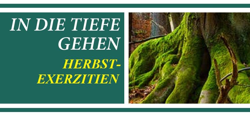 Kräftig grünes Moos lässt eine große Baumwurzel leuchten.