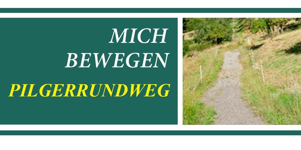Ein Wanderweg führt durch Weiden, die mit einem Elektrozaun abgegrenzt sind.