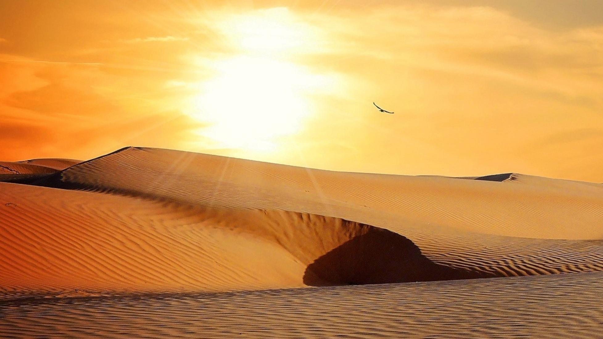 weihnachtliche Musik zum Mittagsläuten in Neuwied