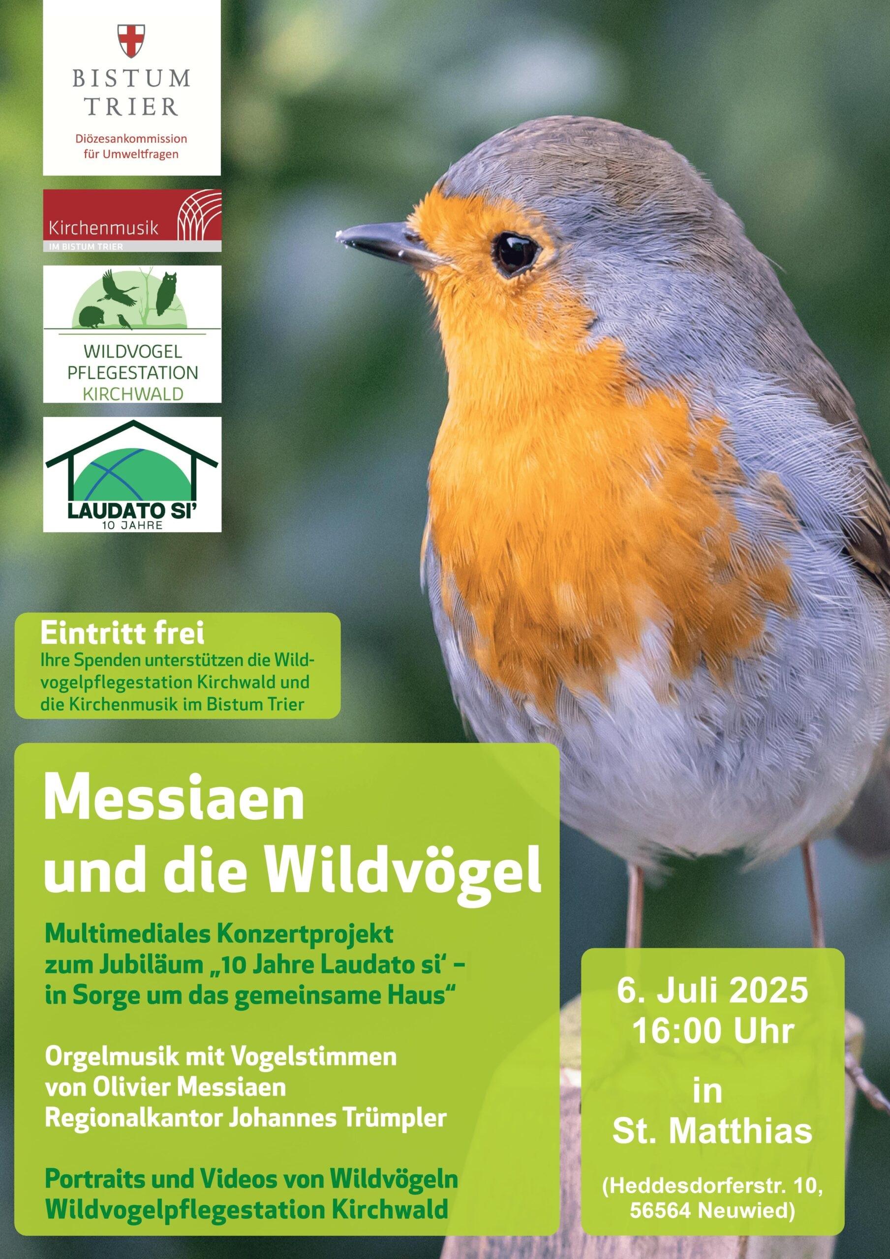 Ein Rotkehlchen schaut nach links. Das Plakat nennt die Unterstützer und viele wichtige Informationen zum Konzert.