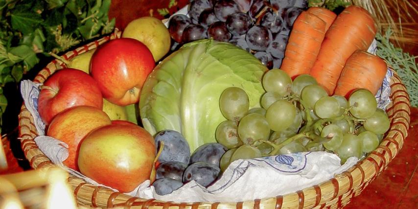 Korb mit Äpfeln, Birnen, Zwetschgen, einem Weißkohl, Möhren und Trauben in grün und blau