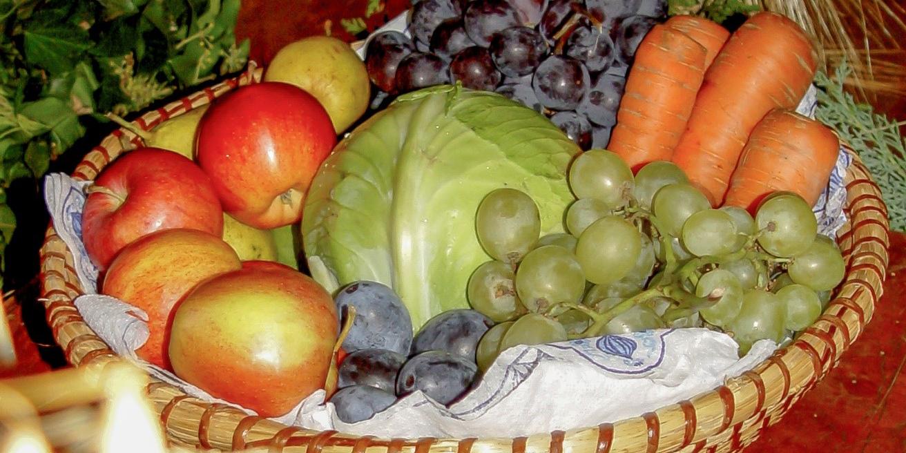 Korb mit Äpfeln, Birnen, Zwetschgen, einem Weißkohl, Möhren und Trauben in grün und blau