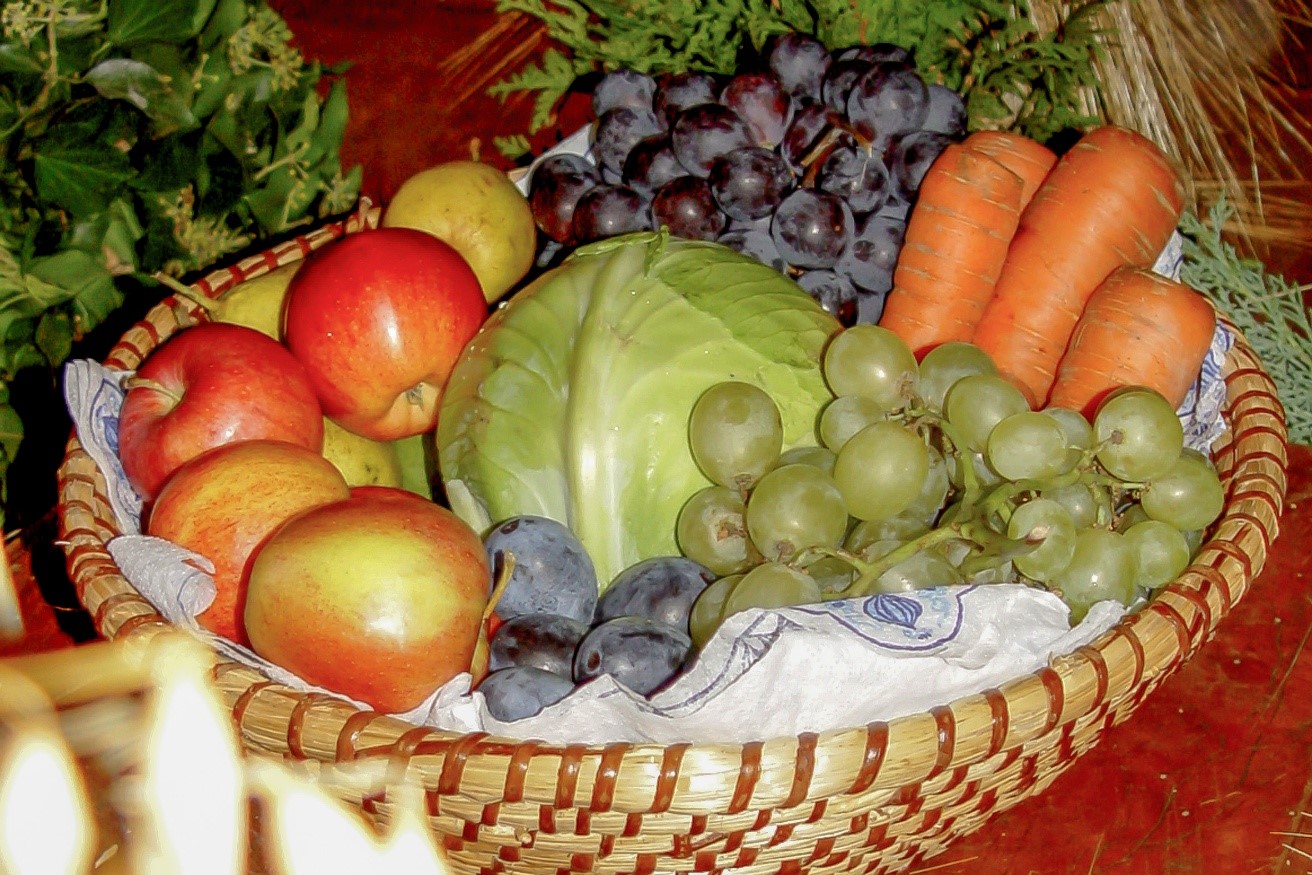 Korb mit Äpfeln, Birnen, Zwetschgen, einem Weißkohl, Möhren und Trauben in grün und blau