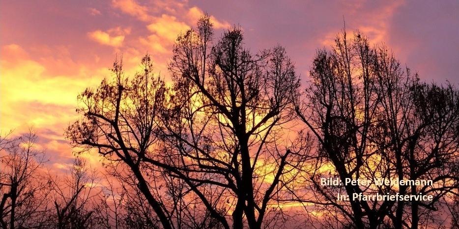 Blattlose Bäume ragen in den gelb-violett gefärbten Himmel. Dieses Bild bildet den Hintergrund für den Plakattext.
