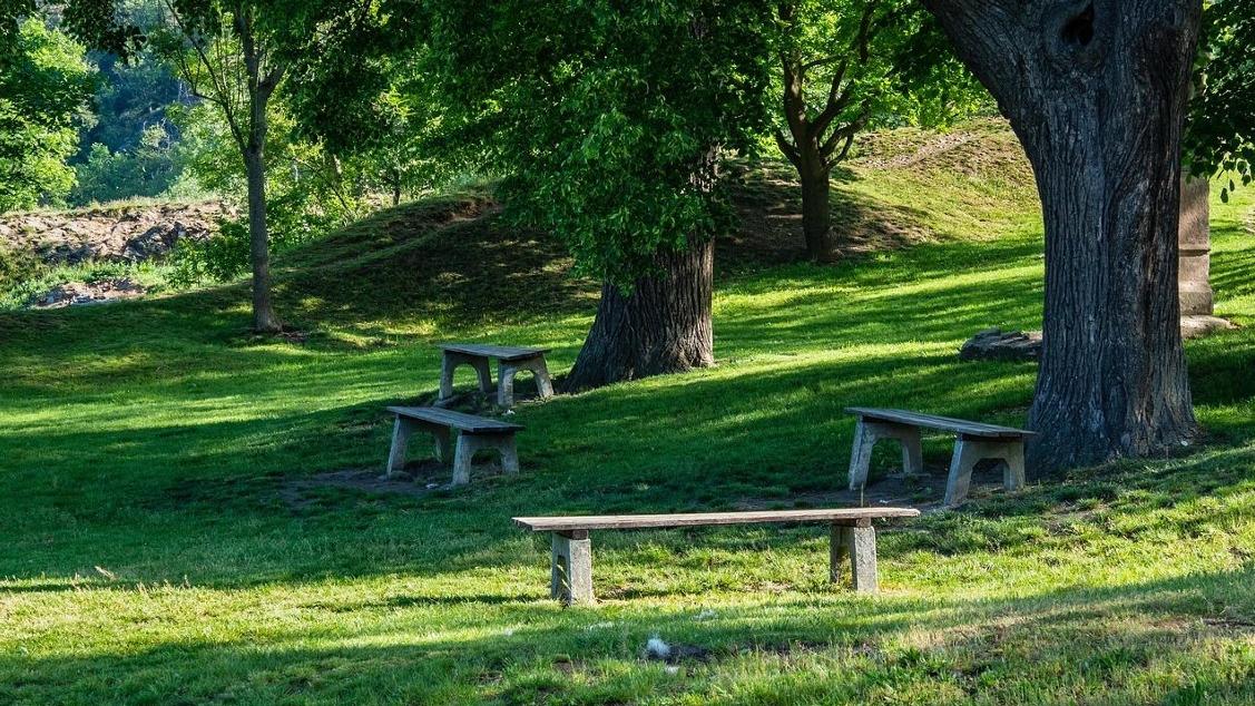 Vier Bänke stehen verteilt auf einer Wiese mit alten Bäumen.