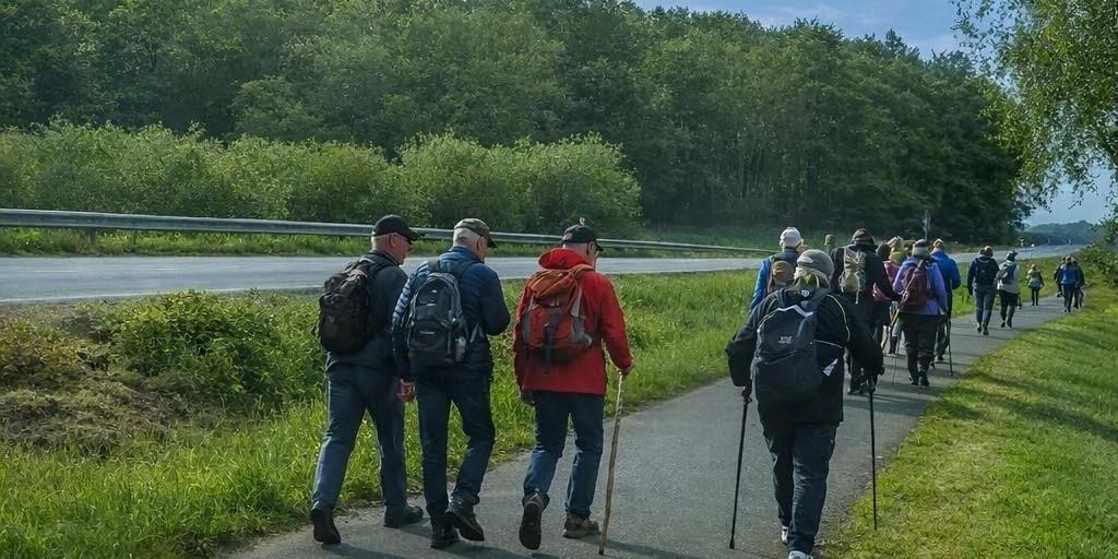 Das Plakat zeigt neben den Informationen eine große Pilgergruppe, die auf einem asphaltierten Weg entlang einer Straße geht.