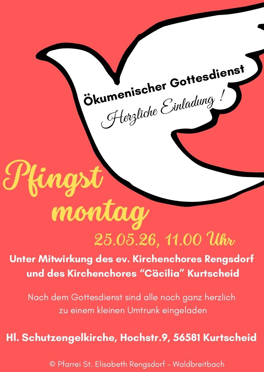 Das Plakat hat einen roten Hintergrund von dem sich der Text in gelber und weißer Schrift abhebt. Der Umriss einer weißen Taube erinnert an Pfingsten.