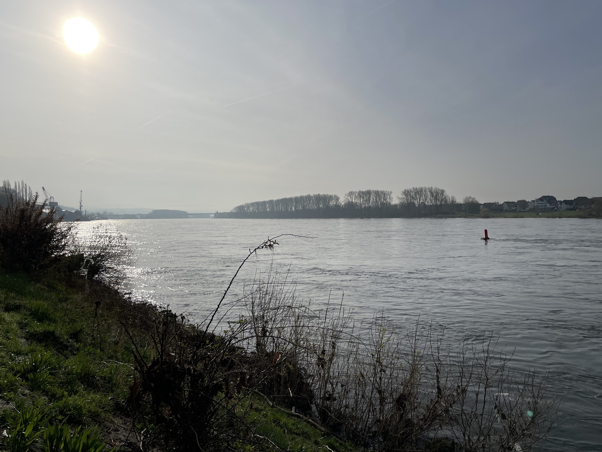 Blick auf den Rhein